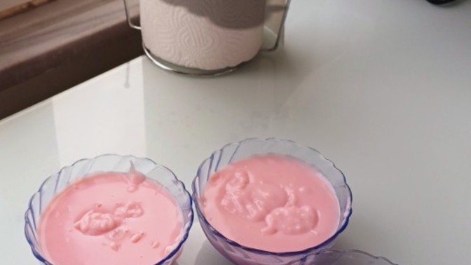 Puding severmisiniz?