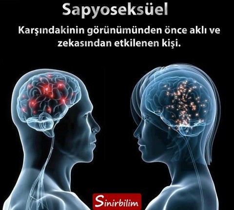 Sapyoseksuel misin?