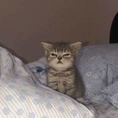 Bu saatte niye uyandınız?