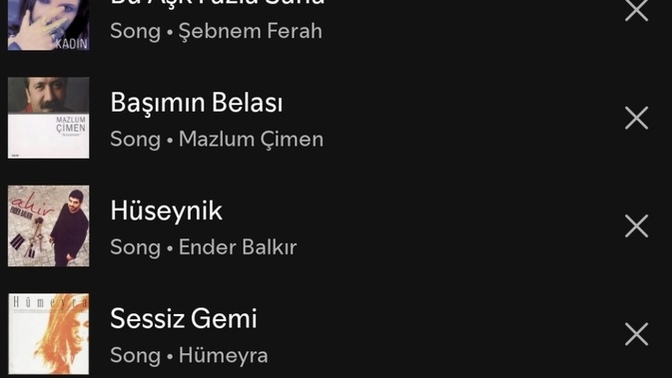 Ne tarz müziklerden hoşlanırsın anlatsana?