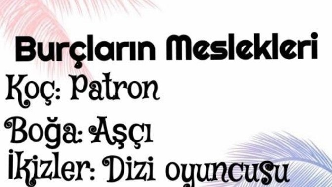 Burçların meslekleri neler?