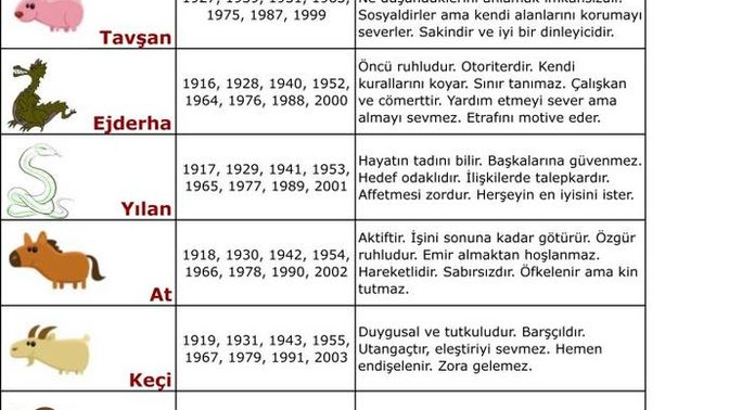 Çin burcunuz nedir? Özellikleri size uyuyor mu?