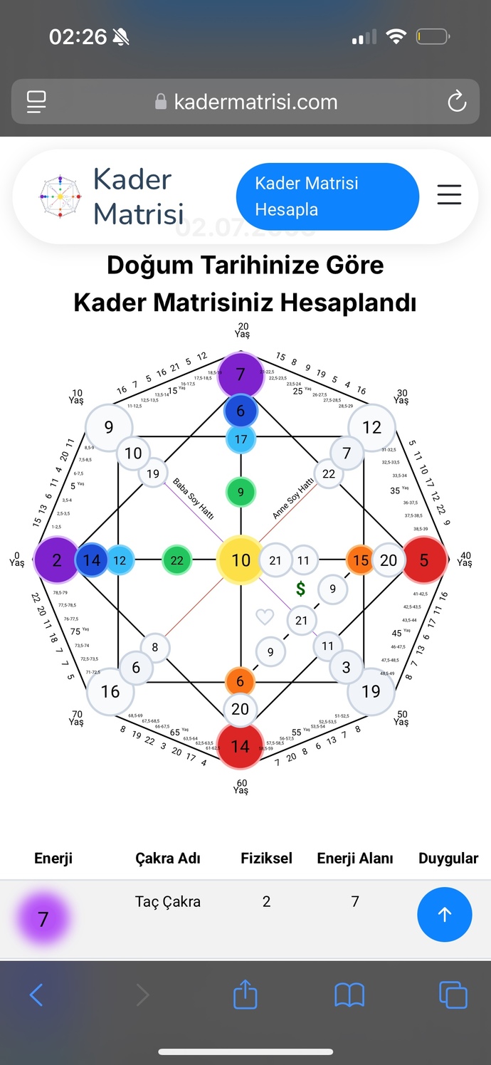 Kader matrisi ne tam olarak anlayan var mı?