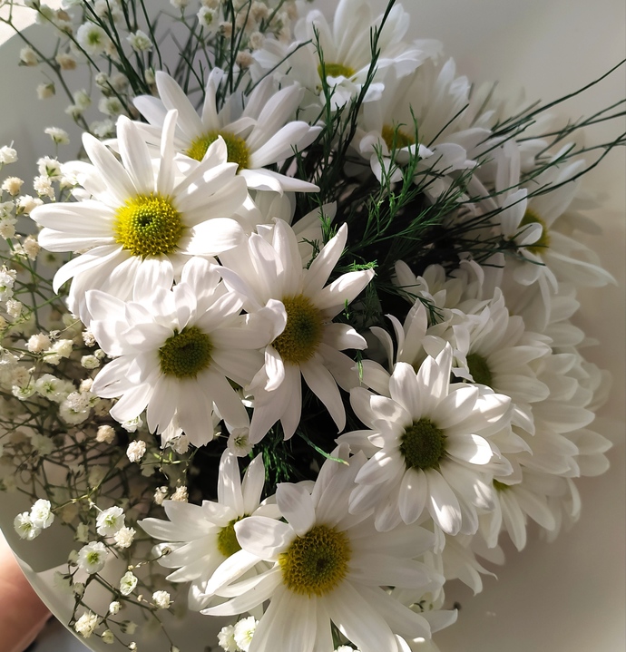 🌼🌼