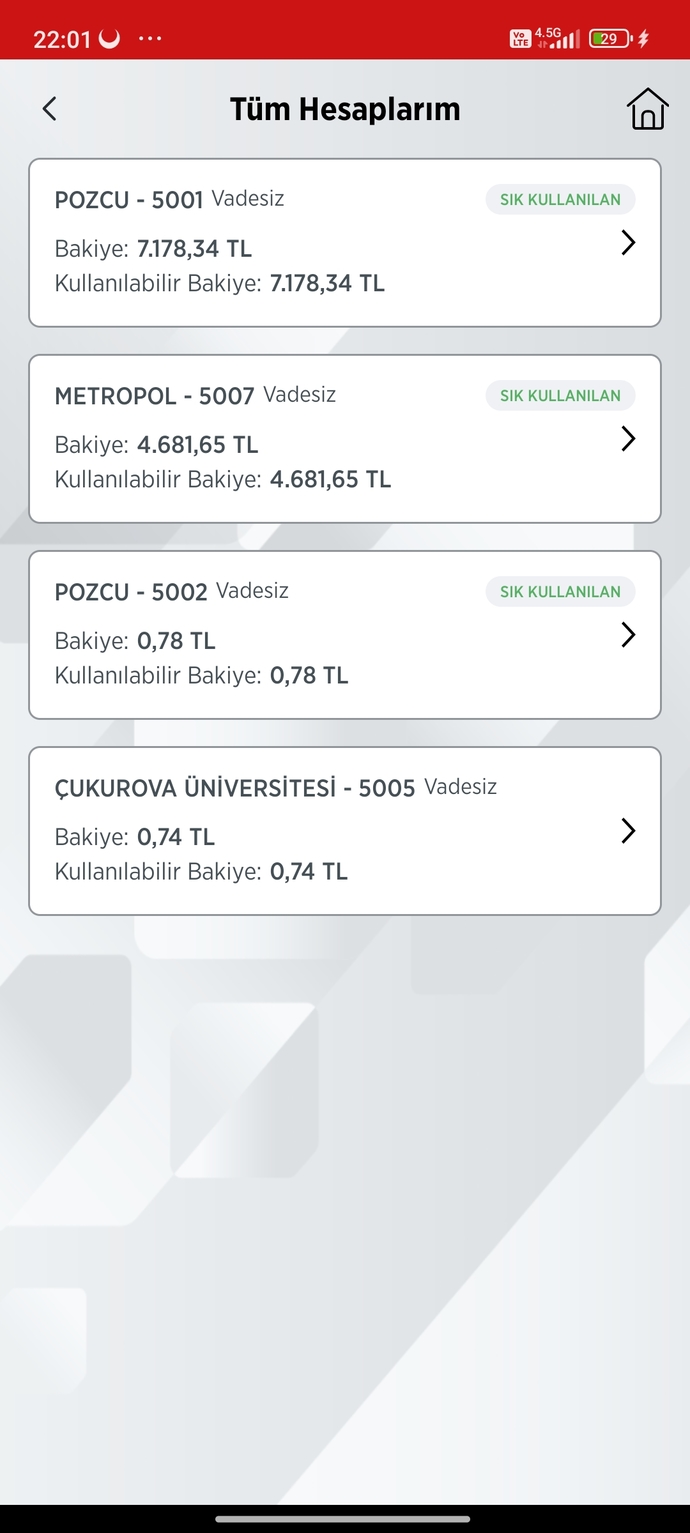 Maddi durumunuz ne alemde?