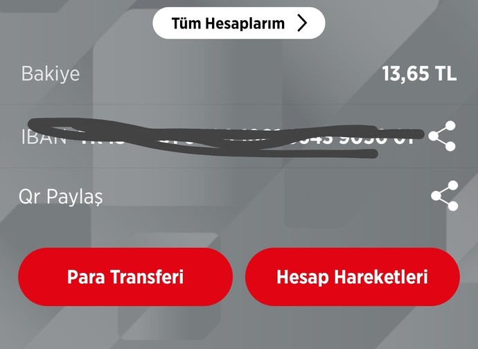 Maddi durumunuz ne alemde?