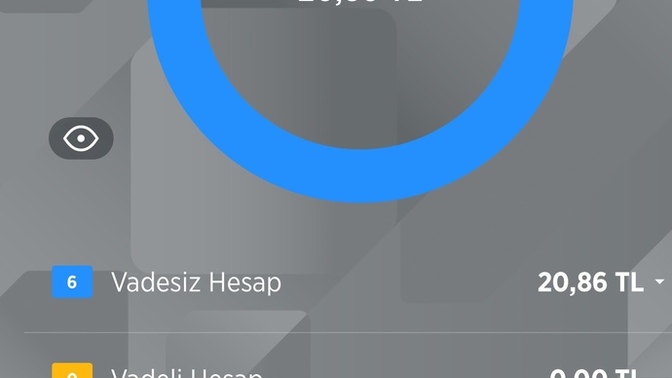 Maddi durumunuz ne alemde?