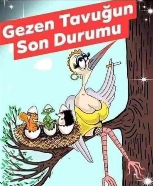 Organik köy yumurtası sever misiniz?