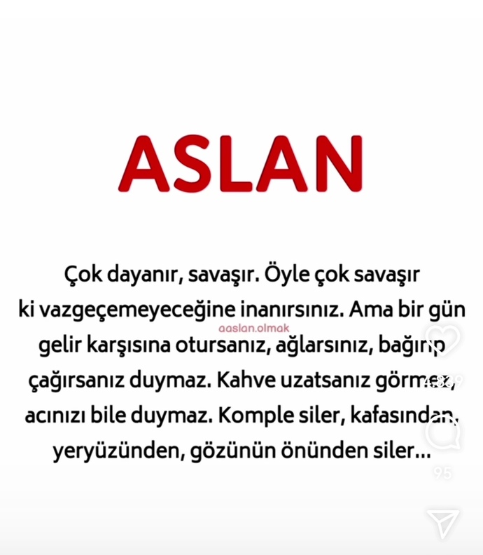 Aslan burcu olan var mı?