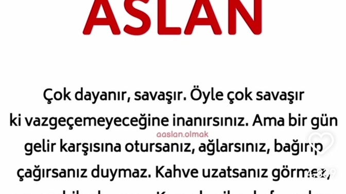 Aslan burcu olan var mı?