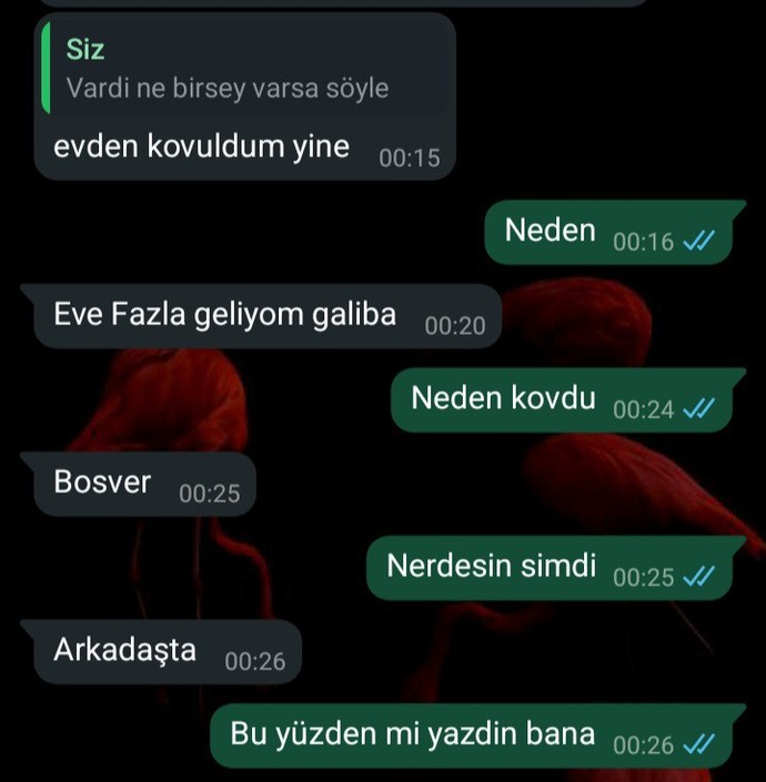Sürekli derdini anlatan erkek?