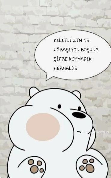 Sevgiliniz veya eşiniz sizden telefon şifresini gizlerse ondan ayrılır mısınız?
