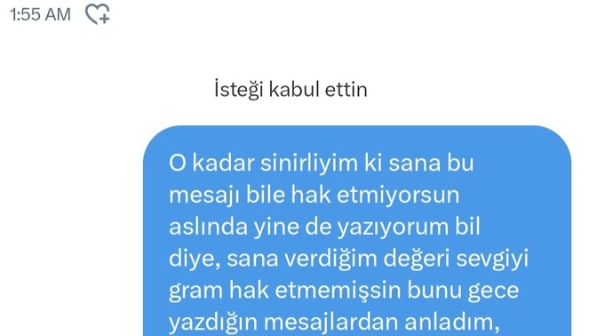8 aydır konuştuğum adam bana hiçbir şeyim değildin iyi ki dedi bu ne demek?