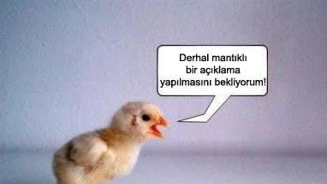 Vicdanı sorgulamak için illa büyük olaylar mı yaşamak gerekir?