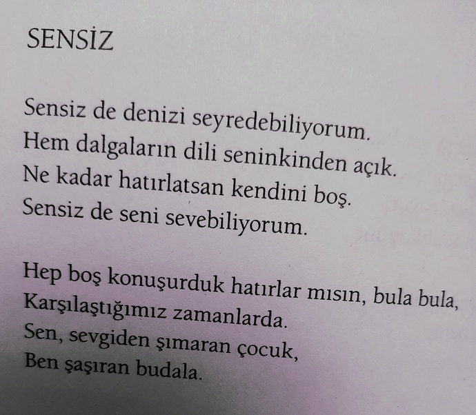 Bu akşama bir şiir bırakmak isteseydiniz sizi anlatan şiir hangisi olurdu?