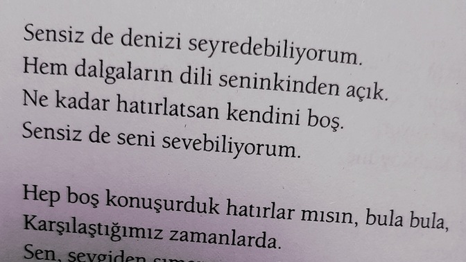 Bu akşama bir şiir bırakmak isteseydiniz sizi anlatan şiir hangisi olurdu?