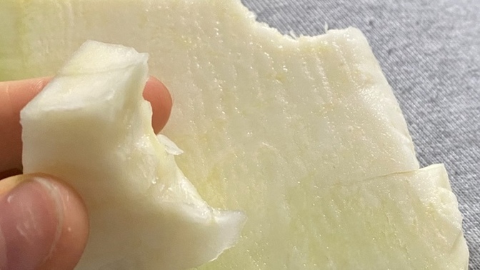 Pancar kökü diye bişey var bilen var mı?