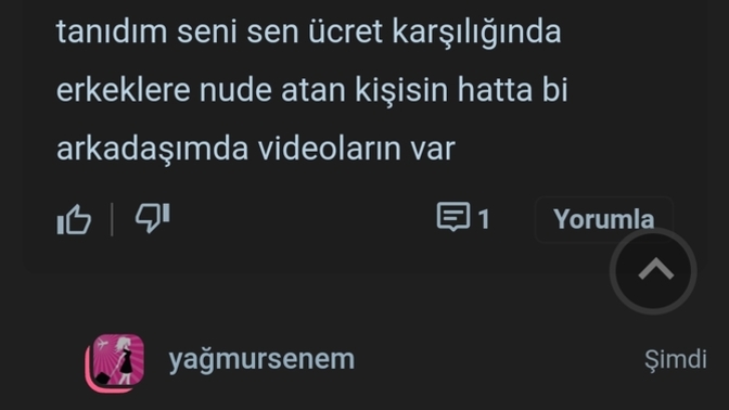 Geçmişte hata yapan biri neden durmadan zorbalanır?