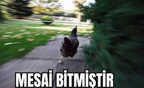 Mesai bitince hemen çıkar mısınız?