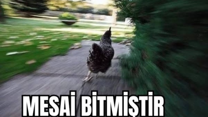 Mesai bitince hemen çıkar mısınız?