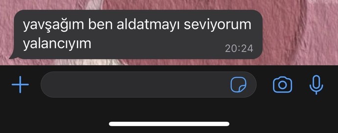 Bu zamana kadar aldığınız en iyi intikam neydi?