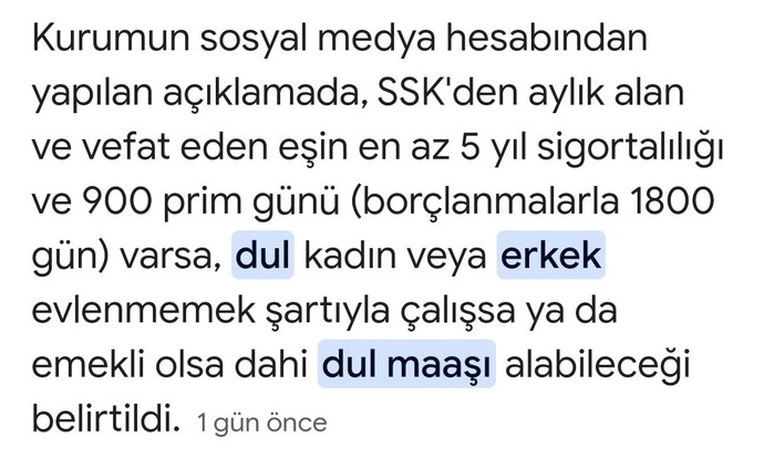 Artık erkeklere de dul maaşı bağlanacakmış , siz ne düşünüyorsunuz bu konuda?