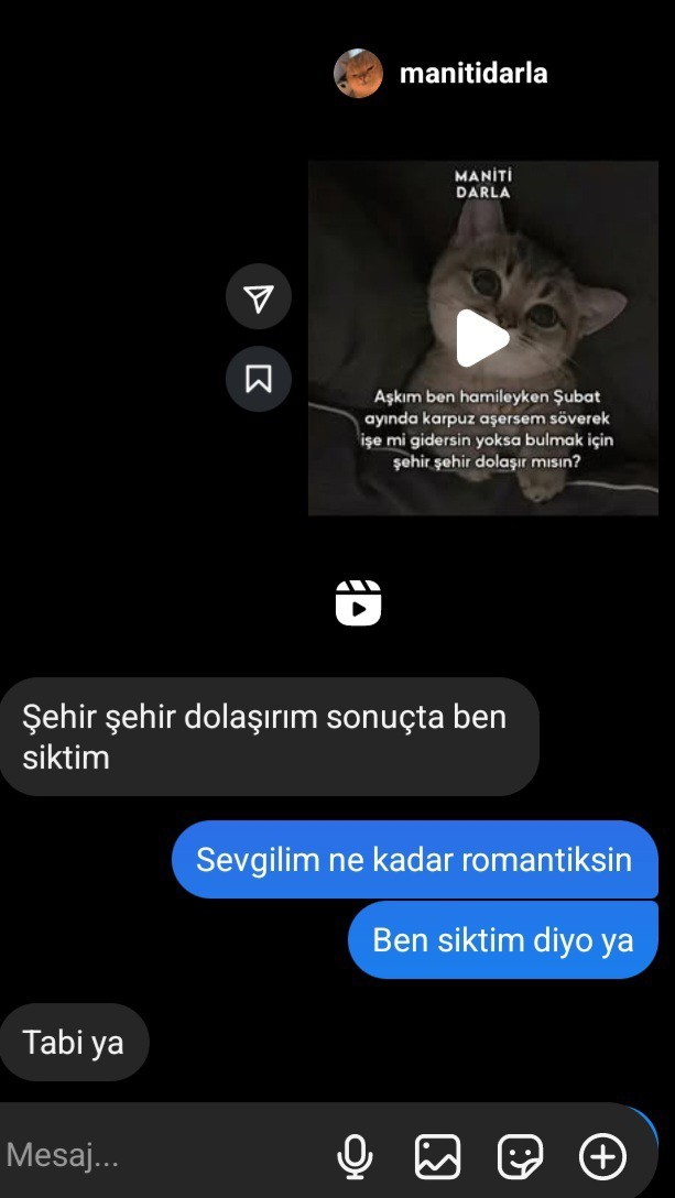 Fazla açık sözlü sanırım?