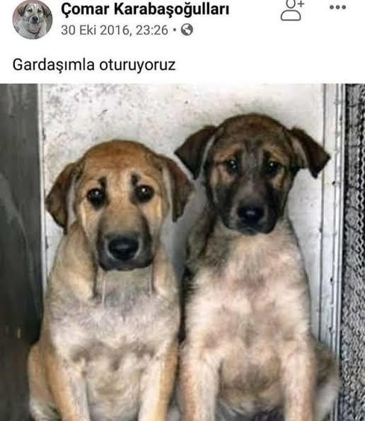 Kankanızla olan en havalı fotoğrafınız hangisi?
