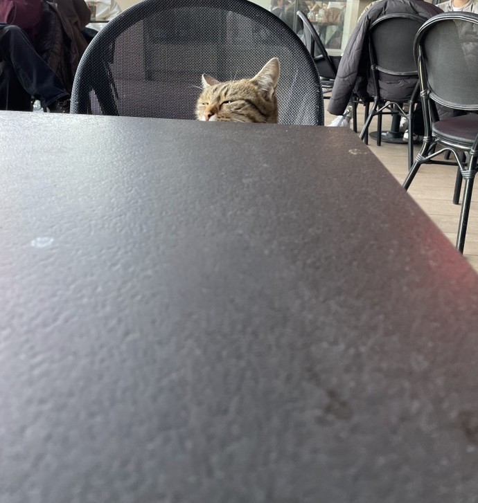 Muhabbet etme yeteneğiniz var mı?