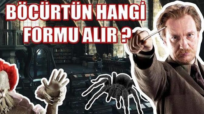 Harry Potter evreninde olsan senin böcürtün hangi formu alırdı?