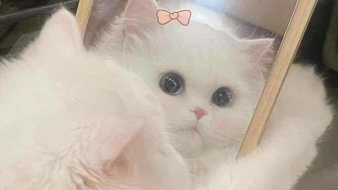 Sinirli biri misiniz yoksa sakin mi?