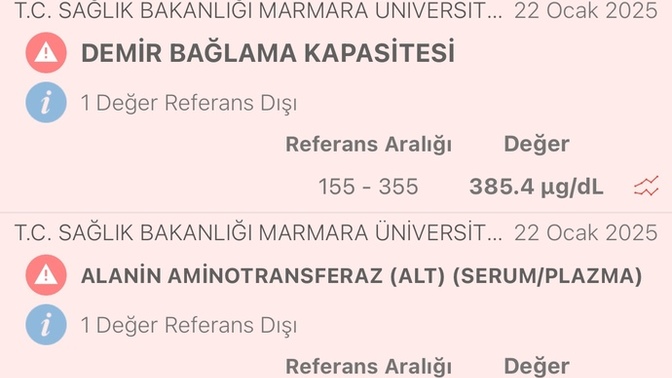 Kan Testinden anlayan arkadaşlar lütfen yardım edebilir mi?