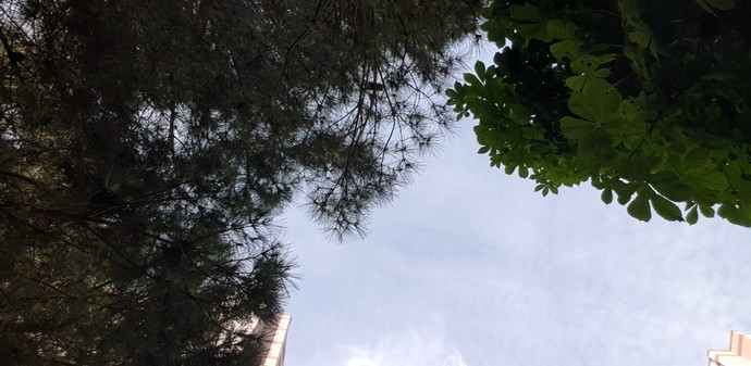 Sizce dünyada en çok söylenen yalan hangisidir?