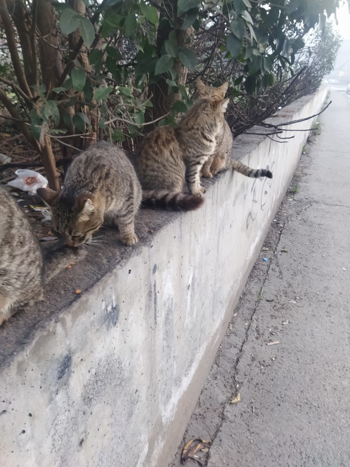Bekleyeniniz var mı?