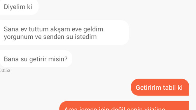 Sevgiliniz sizden su istese getirir misiniz 💅🏻?