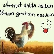 Bir ortama girdiğiniz de tanımadığınız kişilere selam verir misiniz?