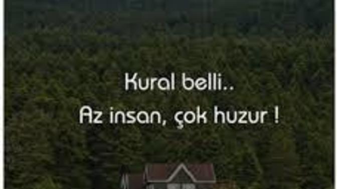 Az insan çok huzur getirir mi?