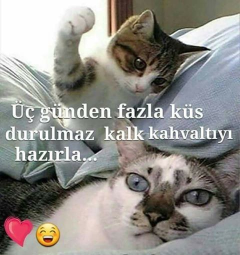 Senin kalbinin icinde ne var?