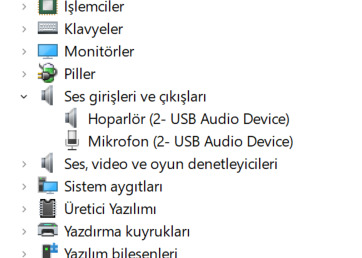 Laptopun ana hoparlör ve ana mikrofonu gözükmüyor?