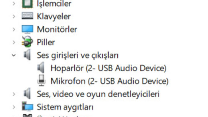 Laptopun ana hoparlör ve ana mikrofonu gözükmüyor?