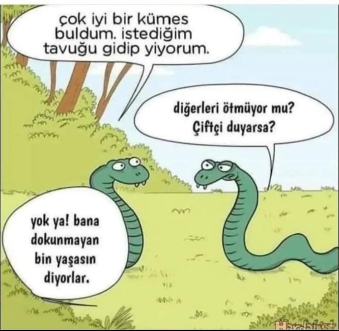 Başkalarına haksızlık yapıldığını gördüğünüzde nasıl bir tavır sergiliyorsunuz?