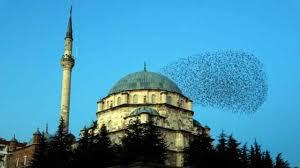 Ezan sesinden rahatsızlık duyan var mı?