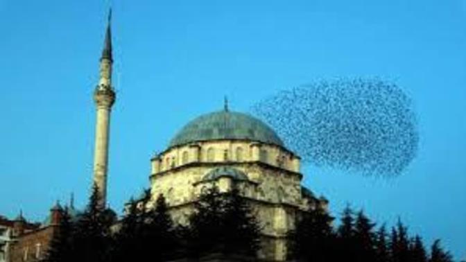 Ezan sesinden rahatsızlık duyan var mı?