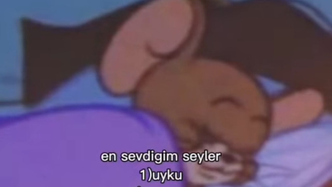 Sizin yapmayı en çok sevdiğiniz şeyler nedir?