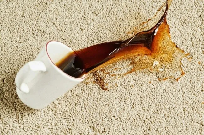 Birisi temizlediğin yeri hemen kirletse, tepkin ne olur?