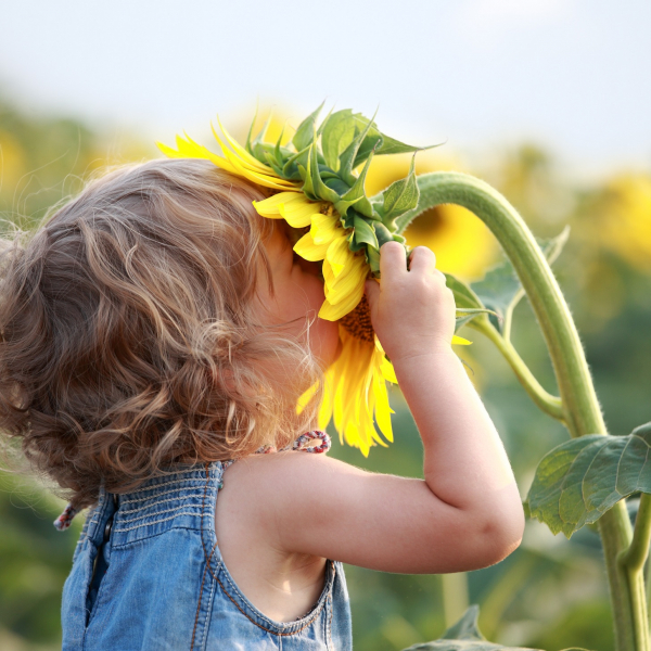 🌼