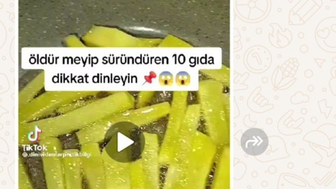 Sizin anneniz de herseyi yeme diyormu?