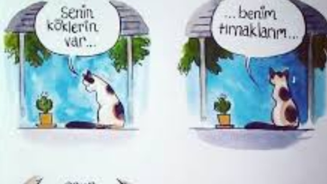 Hayvanlarla konuşabilmeyi mi yoksa bitkilerle mi konuşabilmeyi tercih edersin?