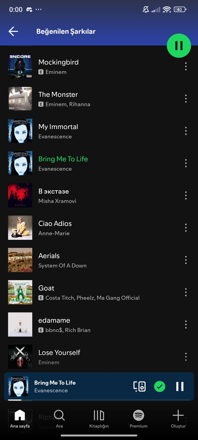 Bana şarkı veya Playlist önerir misiniz?