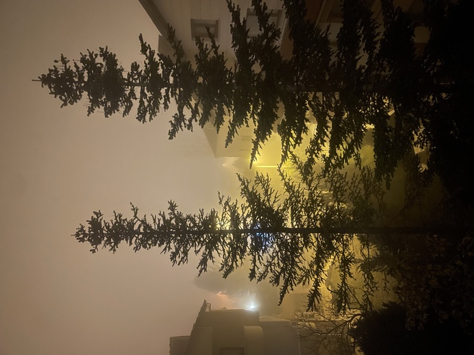 Sisli havaları sever misiniz?